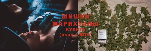 ГАЛЛЮЦИНОГЕННЫЕ ГРИБЫ Алексин