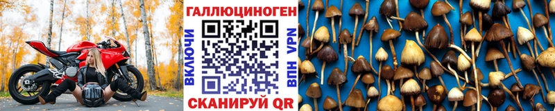 Галлюциногенные грибы Magic Shrooms Почеп