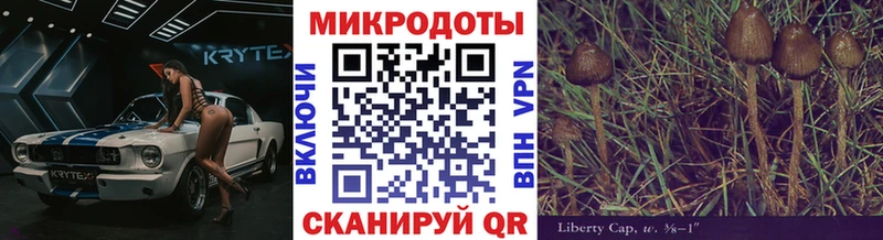 Галлюциногенные грибы Cubensis  Почеп 